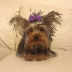 Meet your Posher, Gaby